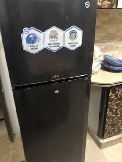 Pel refigerator hai argut sale