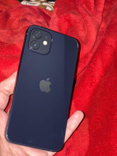 Iphone 12-JV 10/10 64gb