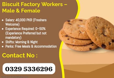 Buiscuit packing job Male female staff urgent hiring Job available