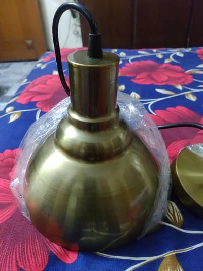 Hanging Light imported