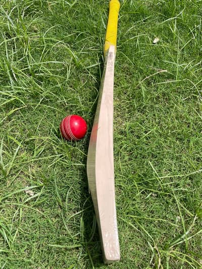 PURE ENGLISH WILLOW BATS