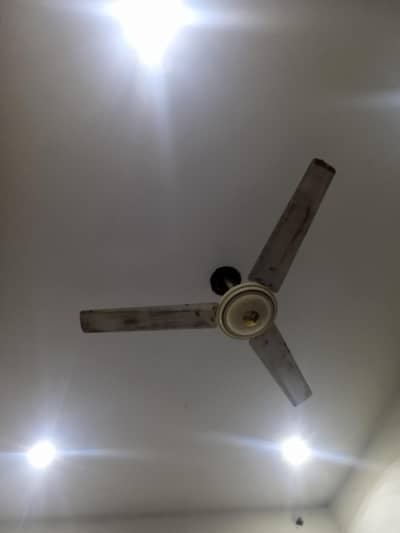 pak fan (03365045950 Whatsapp)