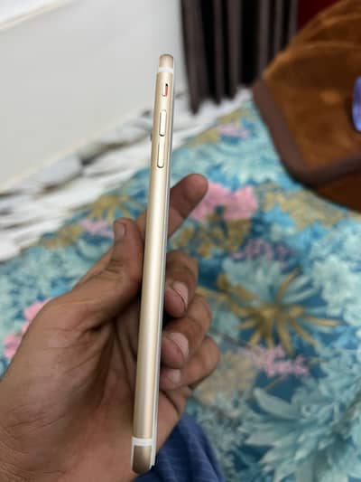 03229770979 only wathsapp