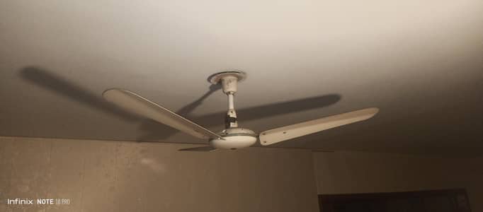 Asia 56" Anwer Industries Fan