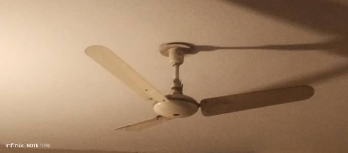 Asia Fan 56" Anwer Industries