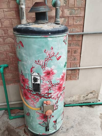 Small size geyser for sale