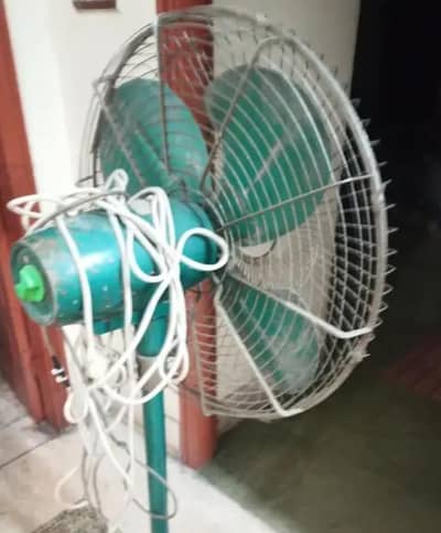 Pakfan Pedestal Full Size