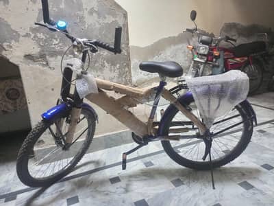 Bicycle 24 inch