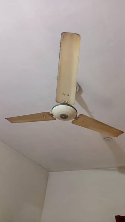 originl fans ROYAL Fan  in good condition