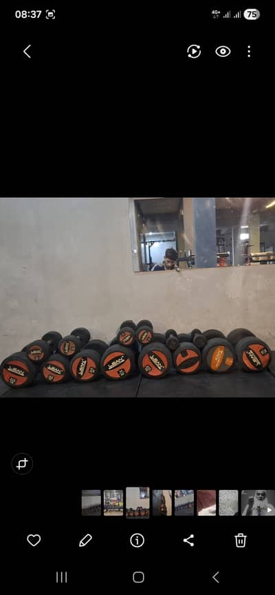 Commercial dumbell for sale