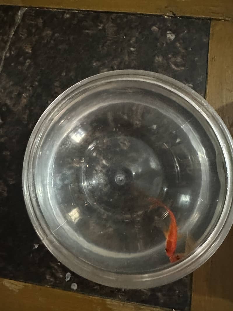 Hydrafacial machine 6