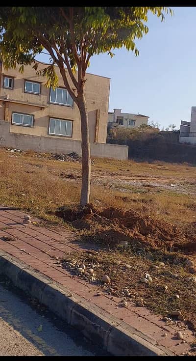 Back Open Very Reasonable Demand