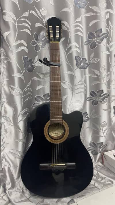 Semi Acoustic guitar