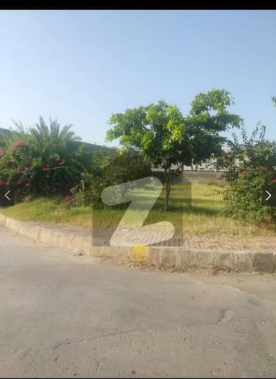 Bahria Hamlet Phase 8 Main Blvd Corner + 16 Marla Extra Land | Facing DHA Phase 3