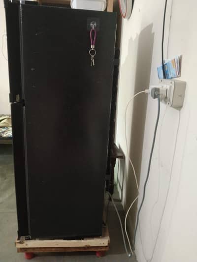 refrigerator and freezer