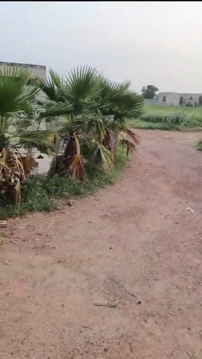 175 KANAL TWO SIDE OPEN MIAN RAIWIND ROAD 750FEET FORANT MIAN