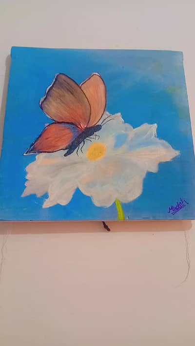 butterfly art on canvas