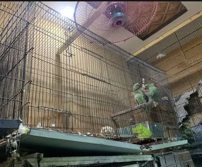 Folding cage 4/2/2 and bird’s breeding boxes