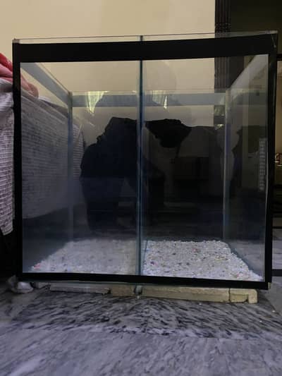 Big Size Ready to use Aquarium Exchange Possible