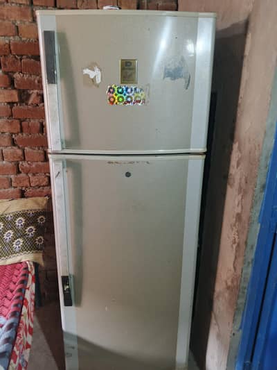 ڈالس فری ڈبل ڈول