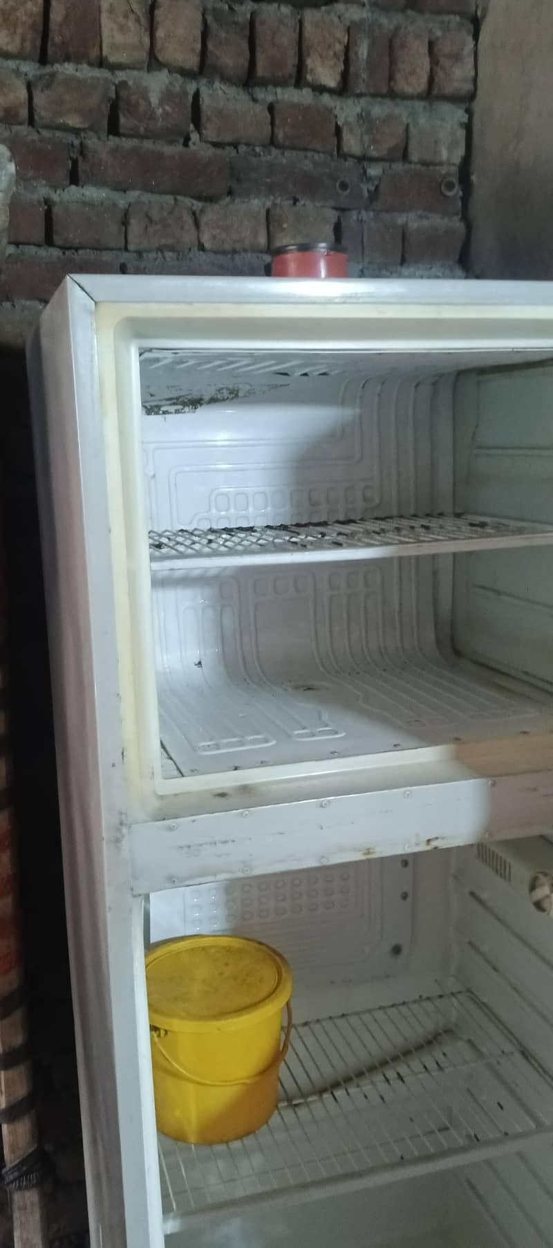 ڈالس فری ڈبل ڈول 1