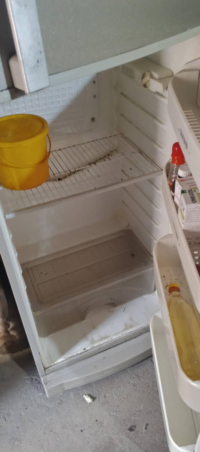 ڈالس فری ڈبل ڈول 2