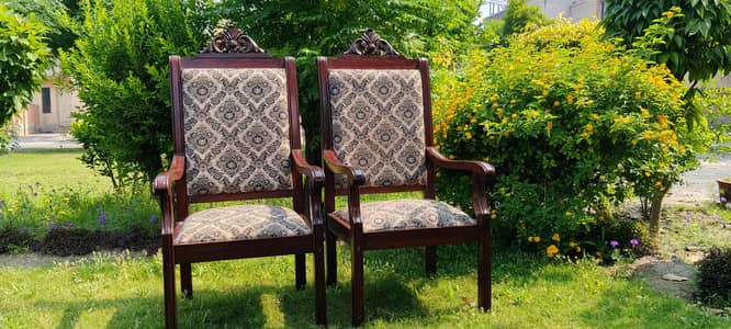 Luxury Bedroom Chairs Pair ( Wooden )