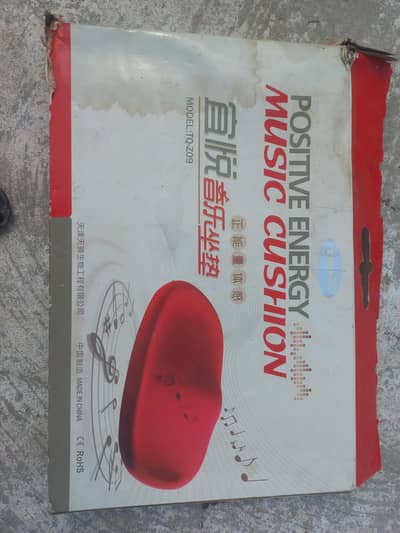 Music Cushion