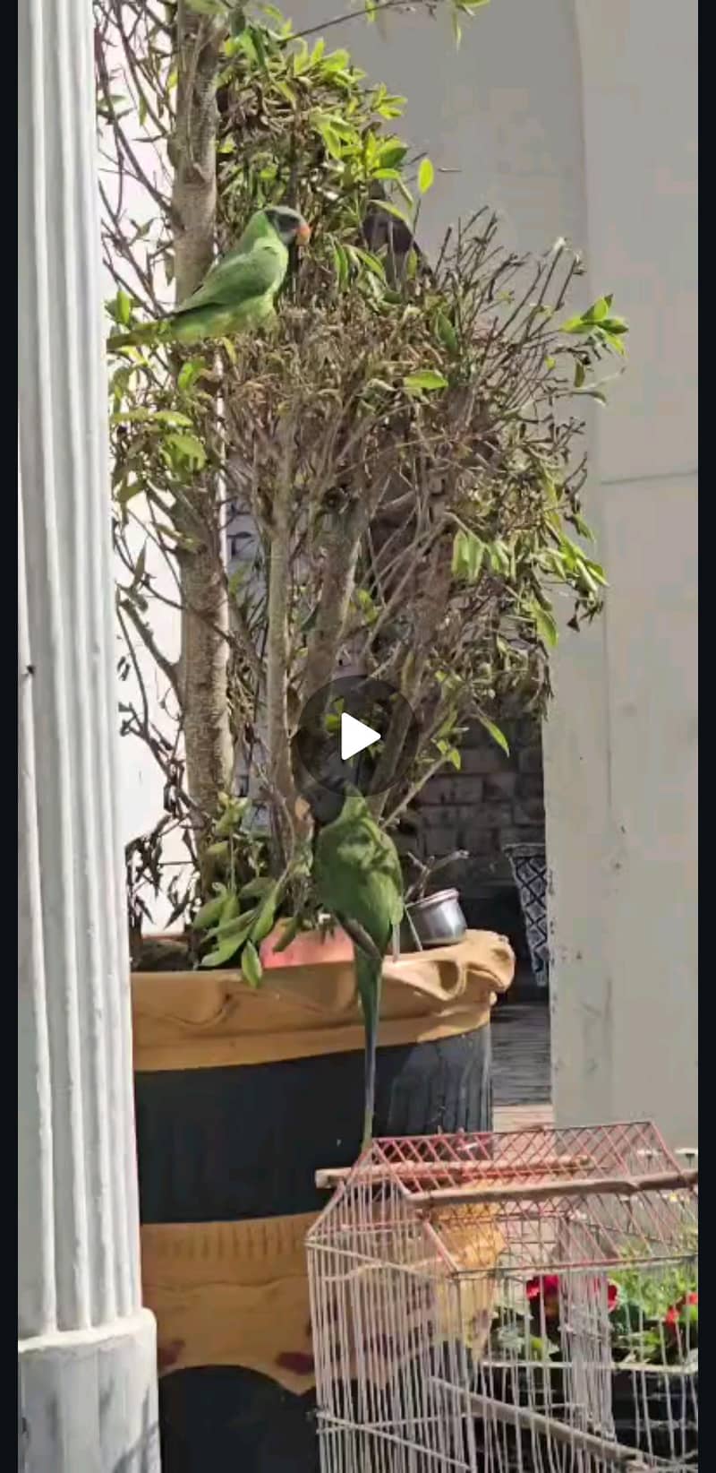 0 bite full trained 0