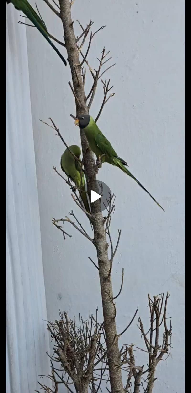 0 bite full trained 1