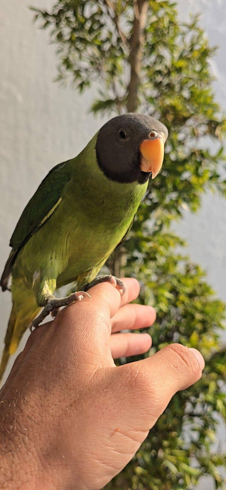 0 bite full trained 2