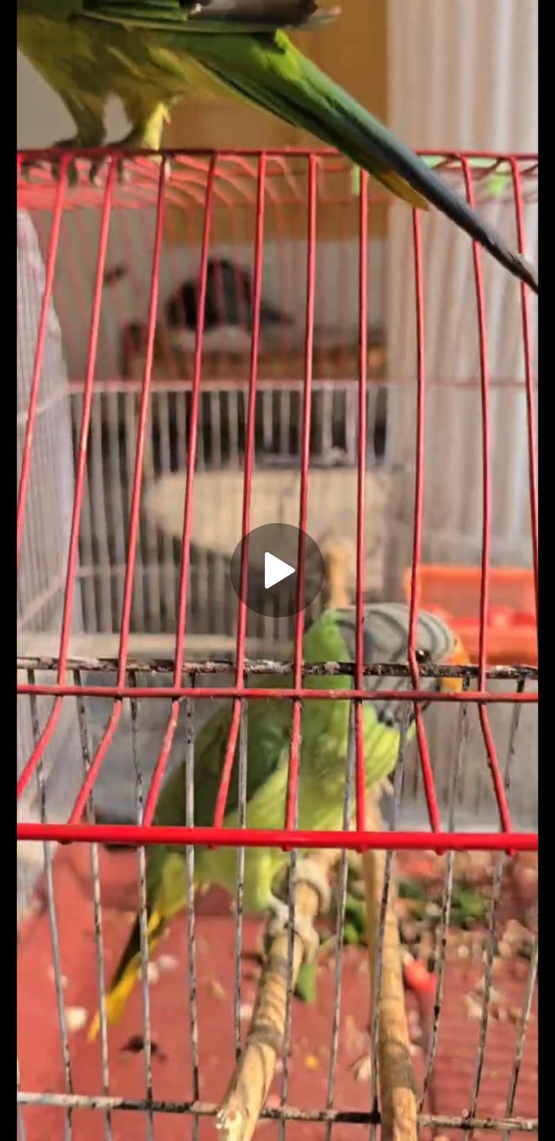 0 bite full trained 4