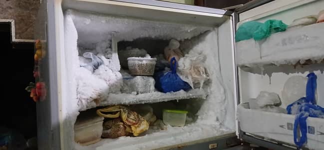 Dawlance Fridge Mint Condition