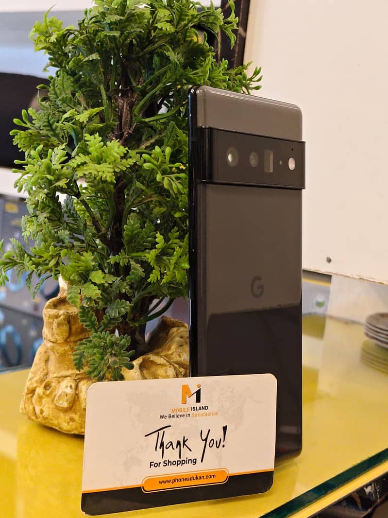 Google Pixel 6 Pro 1