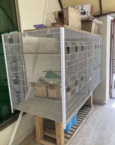 Big Size Cage