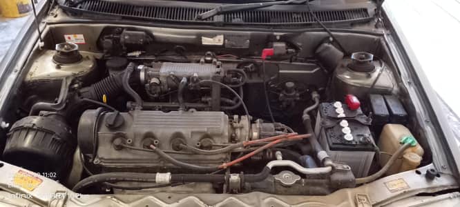 Cultus limited edition 2016