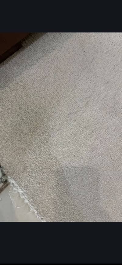 Carpet off white
