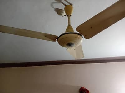 arjent sale fan