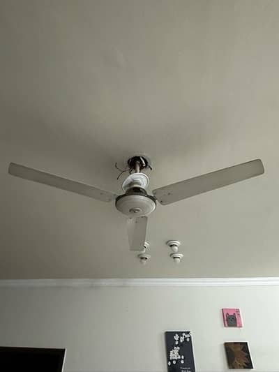 6 pcs ceiling fan