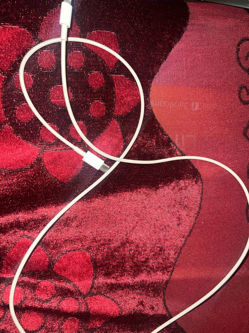 iPhone original cable 2