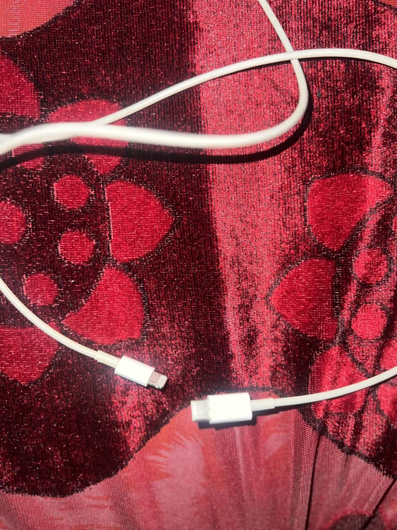 iPhone original cable 1