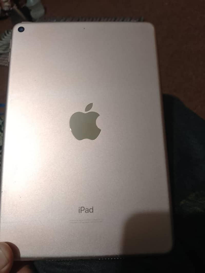 ipad mini 5 0