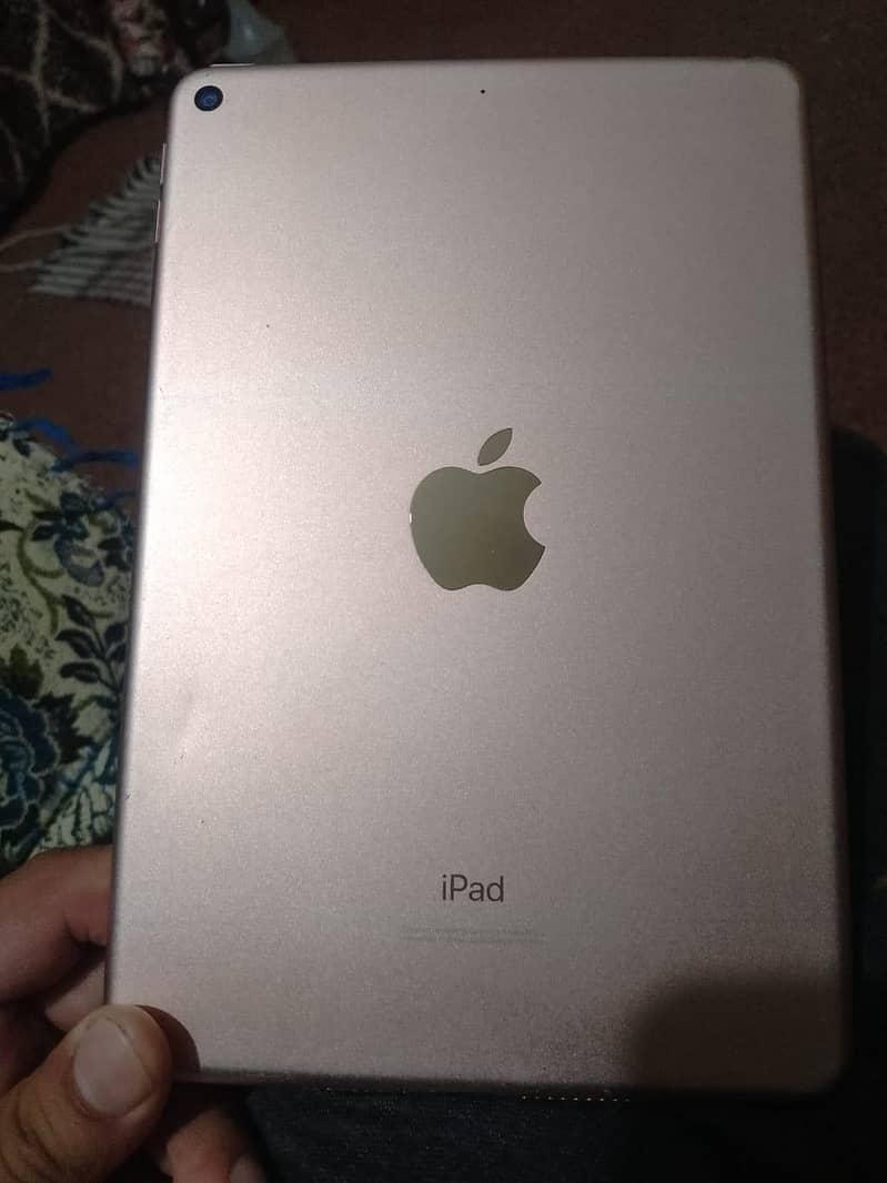 ipad mini 5 1
