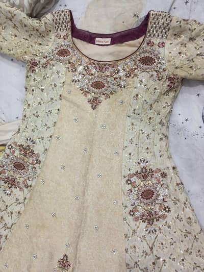 ORIGINAL MEENAKARI DRESS SALMA KORA DABKA HAND WORK