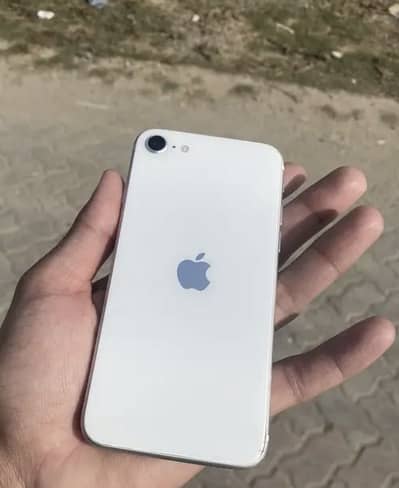 iPhone SE 3 generation iPhone 13 processor