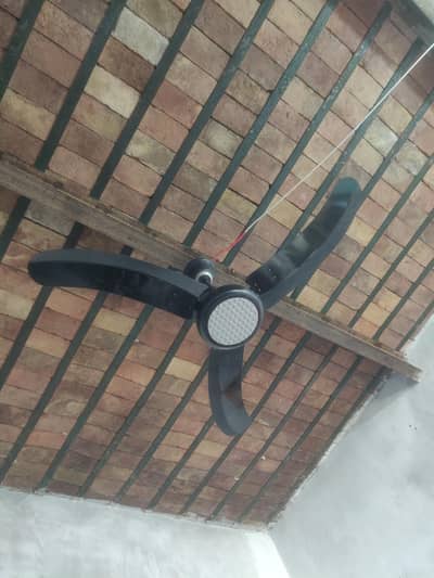 Royal Fan New Condition