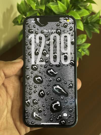 Iphone 13 256gb PTA APPROVED