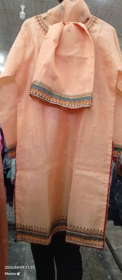 elegant light Embroidery dress