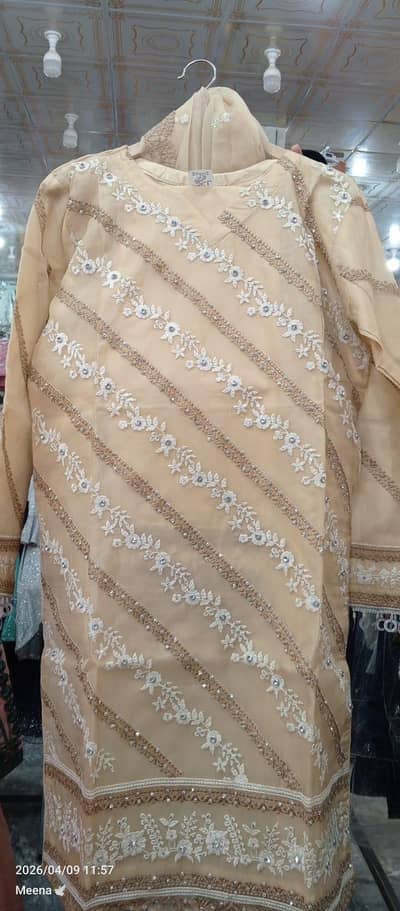 embroidery elegent dress