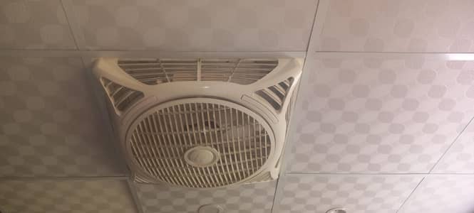 forceiling Fans